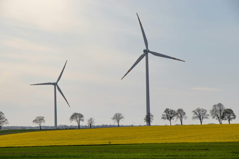 NTPC Green Energy and GAIL to Form Equal Partnership for Renewable Energy Projects