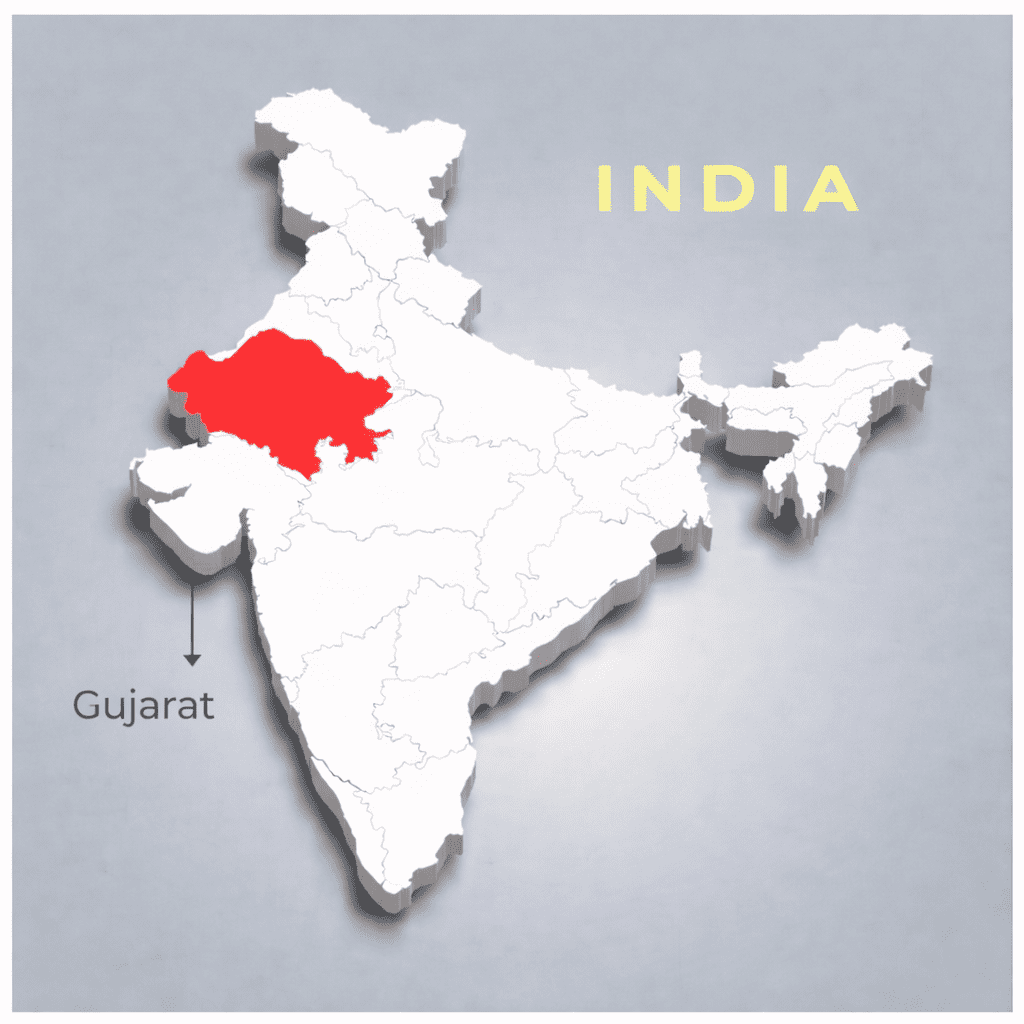 Gujarat Open Access Regulatory Policy