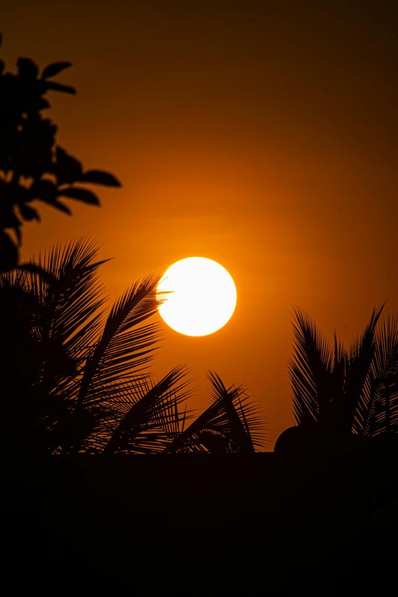 Solar Powers 22% of India’s Record 256 GW Demand During Historic Heatwave