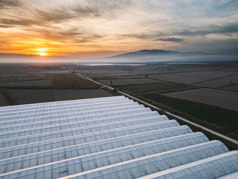 A New Era for Energy: Solar Boost Pushes Global Renewables to Nearly Half of All Power Capacity