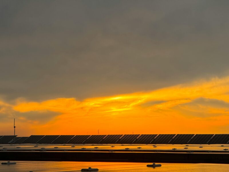 Setting the Solar Blueprint: EESL Invites Bids for Feasibility and Detailed Project Reports